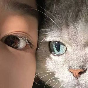 心跳比我先认出你