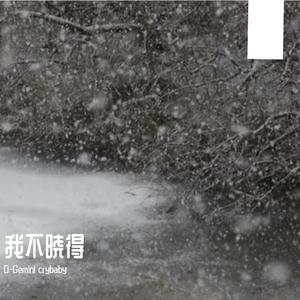 我不晓得pt.2（CRAZY SNOW）