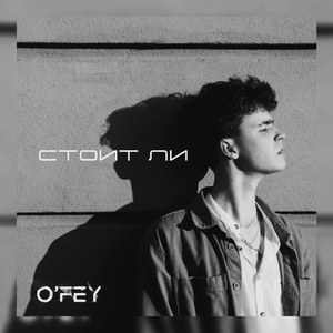 перевернуть себя