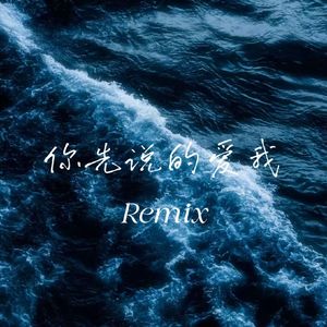 你说的爱我Remix