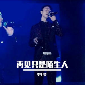 再见只是陌生人