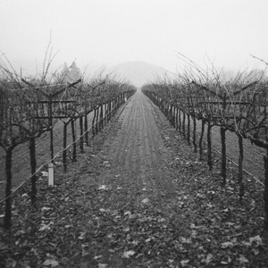 Kroderlun Honorbraids