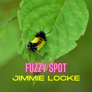 Fuzzy Spot