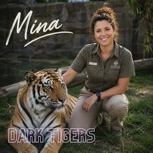 Dark Tigers