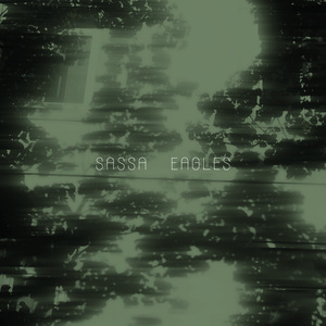 Eagles