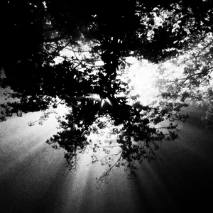 It Is Nothing Short of a Hoax