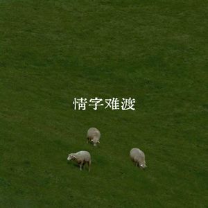 情字难渡