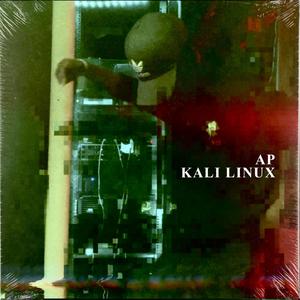 Kali Linux (Q-DOS Version)