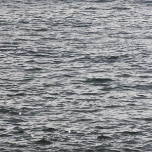 paddle out.
