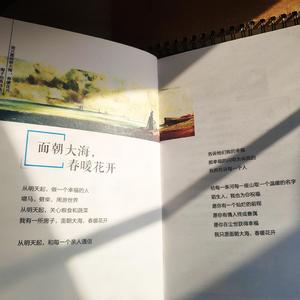 爱的罗曼史吉他版