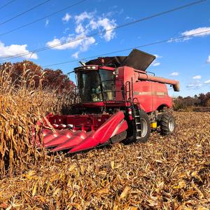 Hawks in the Sky (feat. Raymond)