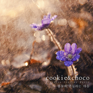 봄꽃에 흔들리는 마음