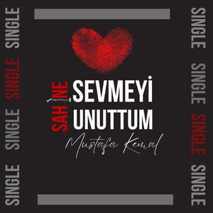 SEVMEYİ UNUTTUM