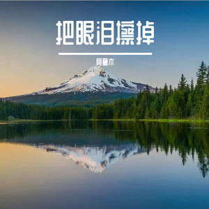 青毫伴流年