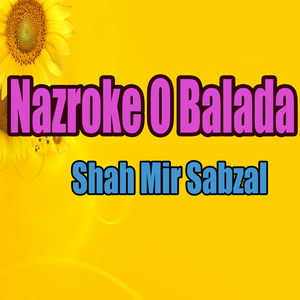 Zeerangee Bro