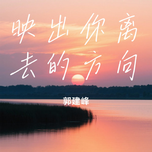 映出你离去的方向