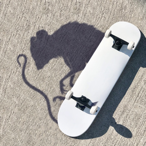 SKATERGIRL (Instrumental Version)