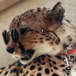 From Neptune To Earth