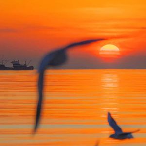 墨染秋山(<千山雪未霁>EP.01)