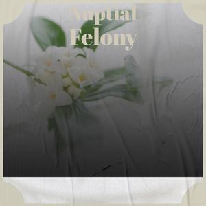 Nuptial Felony