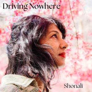Driving Nowhere