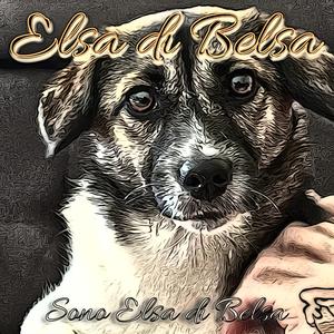Sono Elsa di Belsa
