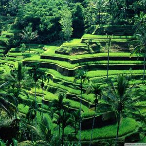 迟滞的风雨 (10)