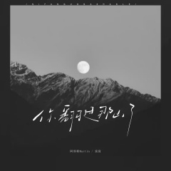 你翻过那山了(走的路还平吗)