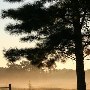 我也常常问自己