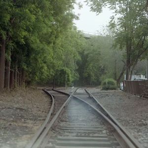 なくなったものを記念する必要はない（伴奏）