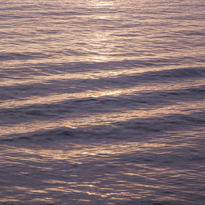 도시는 내게 숨으라 하고