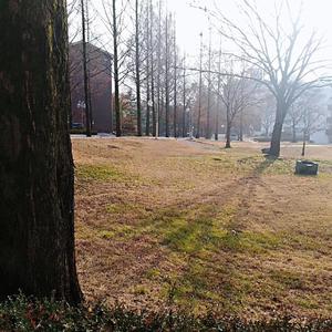 Paula DeAnda-星星女孩villain. J（张泽宇 remix）