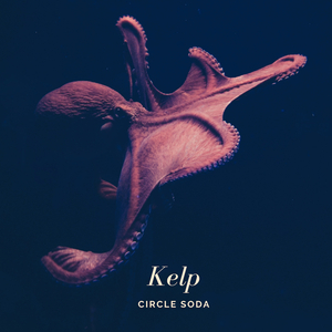 Kelp