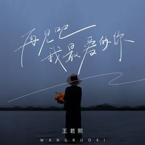 再见吧我最爱的你 (DJ九零版)