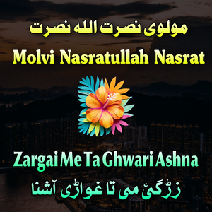 Tarikhi Nom De Qurban Sham