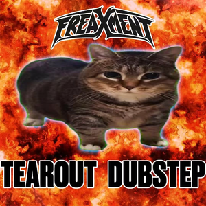OIIA OIIA Dubstep Remix (Spinning Cat Meme)