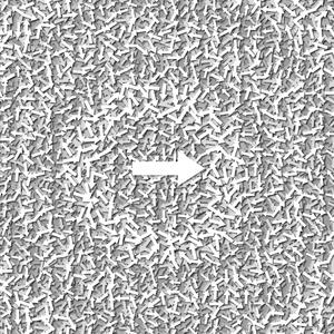 I cannot.. ox< (feat. Deazle)