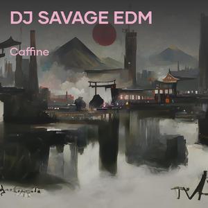 Dj Savage Edm (Remix)