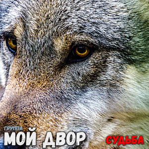 Я надеваю берет