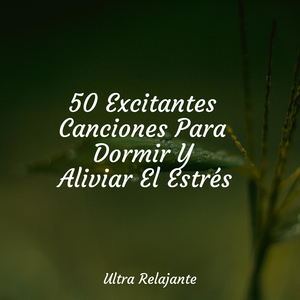 Sesiones Yoga en Colchoneta