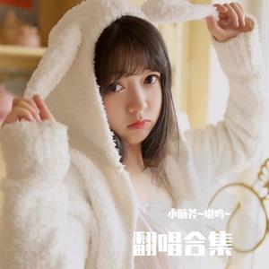 天空之外（翻自 弦子）