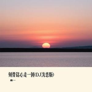 刻骨铭心走一回 (DJ沈恋版)