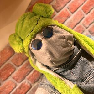 Fruityloops (feat. someartistnamedAny)