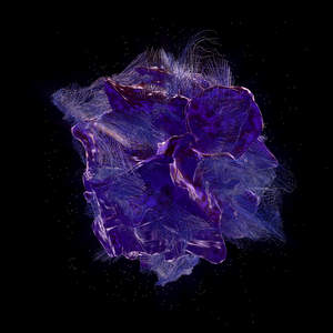 Neuroplasticidad