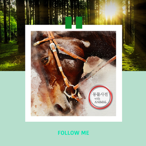 다이어트 하는 팻의 금지곡