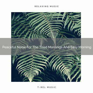 Peaceful Noise For The Tired Mornings And Soft Bed