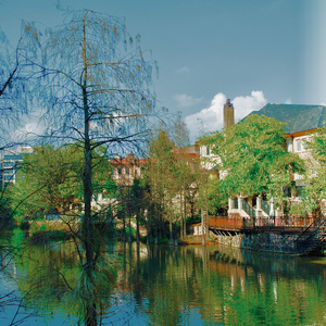 いちごいちえ（一期一会）