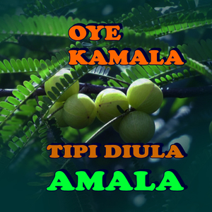 Oye Kamala Tipi Diula Amala