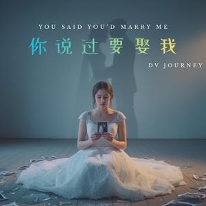 你说过要娶我
