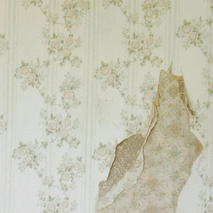 Расцветали душистые розы